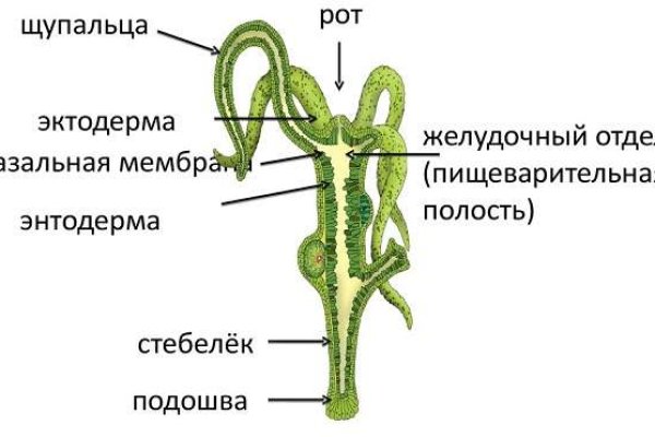 Сайт омг